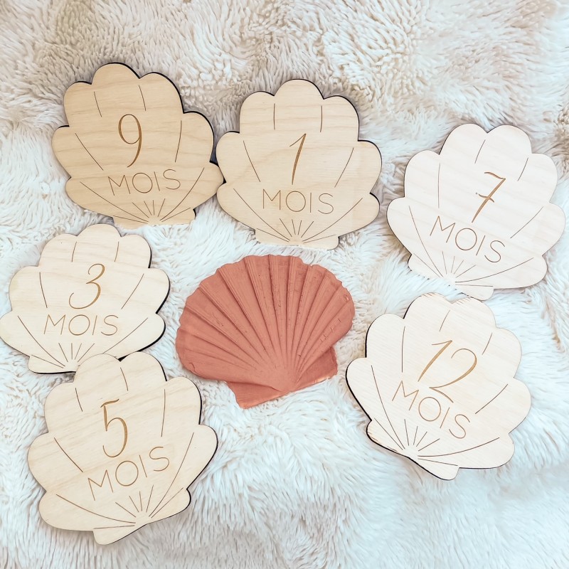 Cartes étapes en Bois - 1ère année - Coquillage