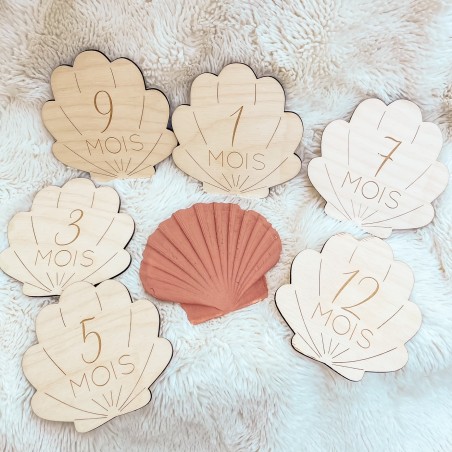 Cartes étapes en Bois - 1ère année - Coquillage