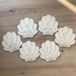 DESTOCKAGE Coquillage - 1ère Année 2