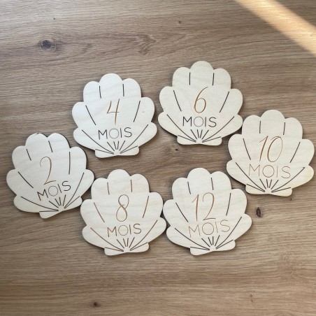 DESTOCKAGE Coquillage - 1ère Année