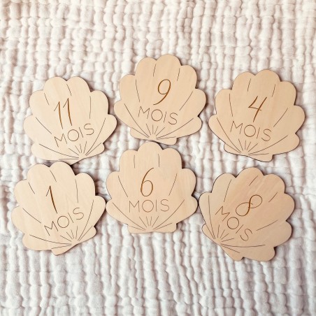 Cartes étapes en Bois - 1ère année - Coquillage