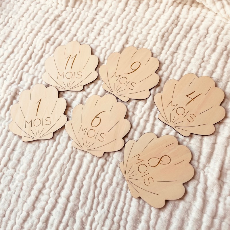 Cartes étapes en Bois - 1ère année - Coquillage