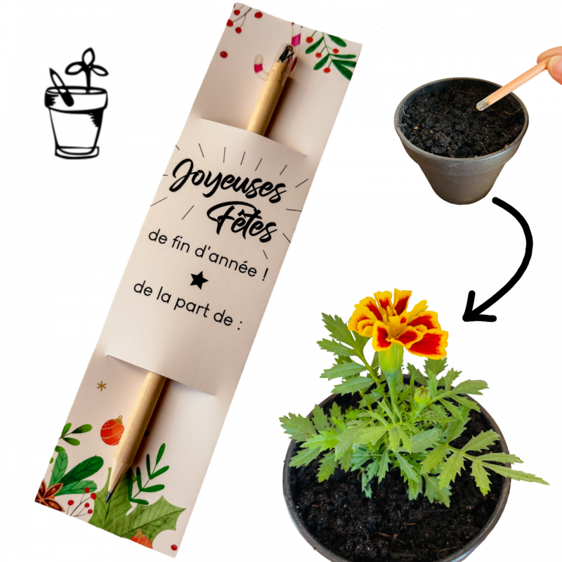 Crayon à planter – Cadeau Joyeuses Fêtes original 🎄