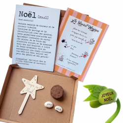 NOËL - Kit Haricot Magique