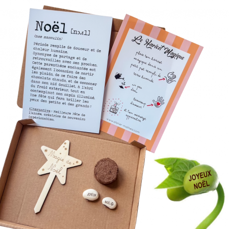 NOËL - Kit Haricot Magique