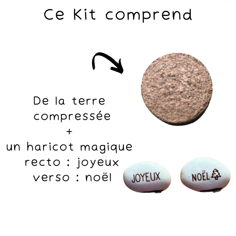NOËL - Kit Haricot Magique