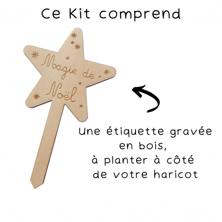 NOËL - Kit Haricot Magique