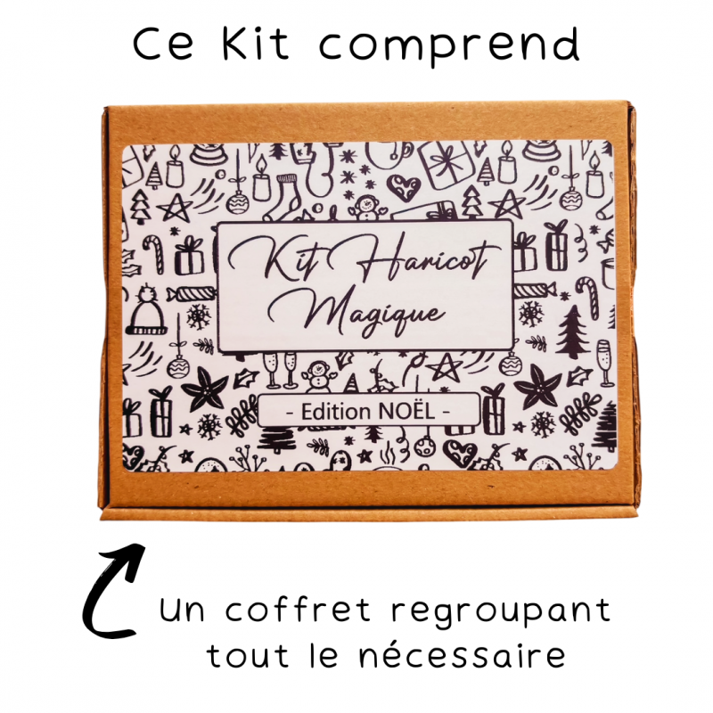 NOËL - Kit Haricot Magique