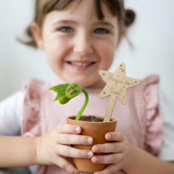 NOËL - Kit Haricot Magique 2